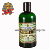 ELECTRUM - solutie stergere model